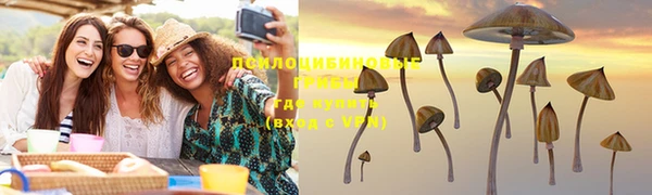 прущие крисы Белоозёрский